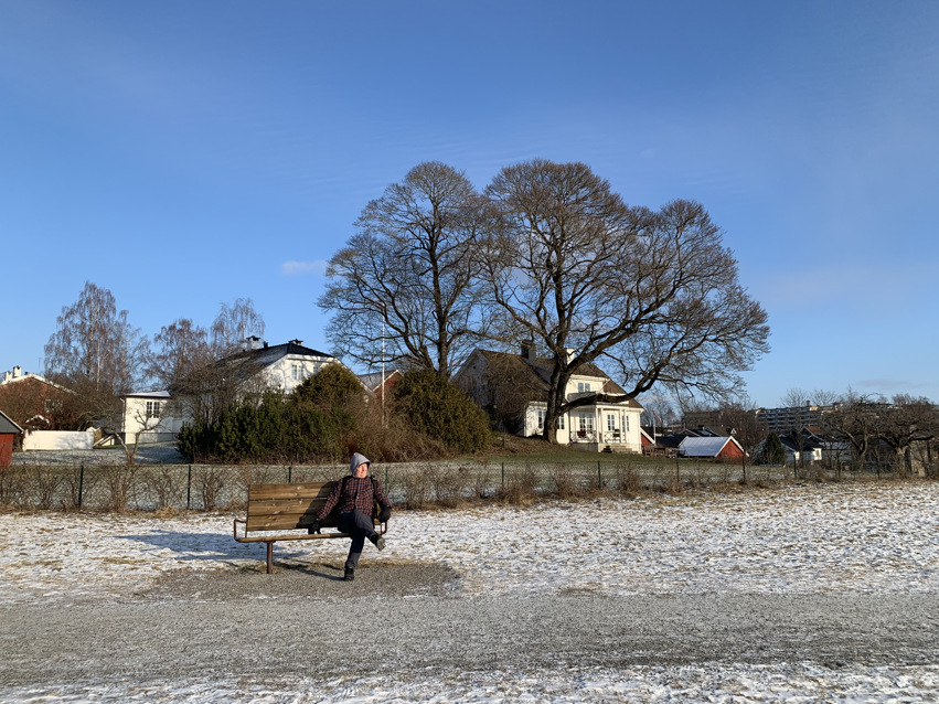 Nyhetsbrev og årsmøtedokument